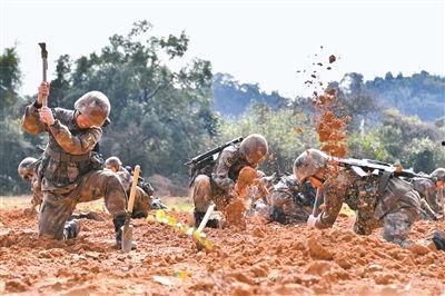 掩体图片,探寻历史战场的隐蔽堡垒