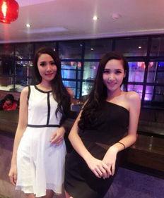 网红大秀磁力,磁力效应下的网络狂欢