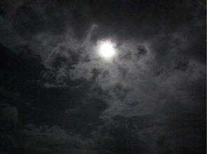 月黑风高夜图片,神秘氛围下的惊悚故事